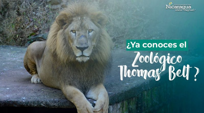Zoológico Thomas Belt